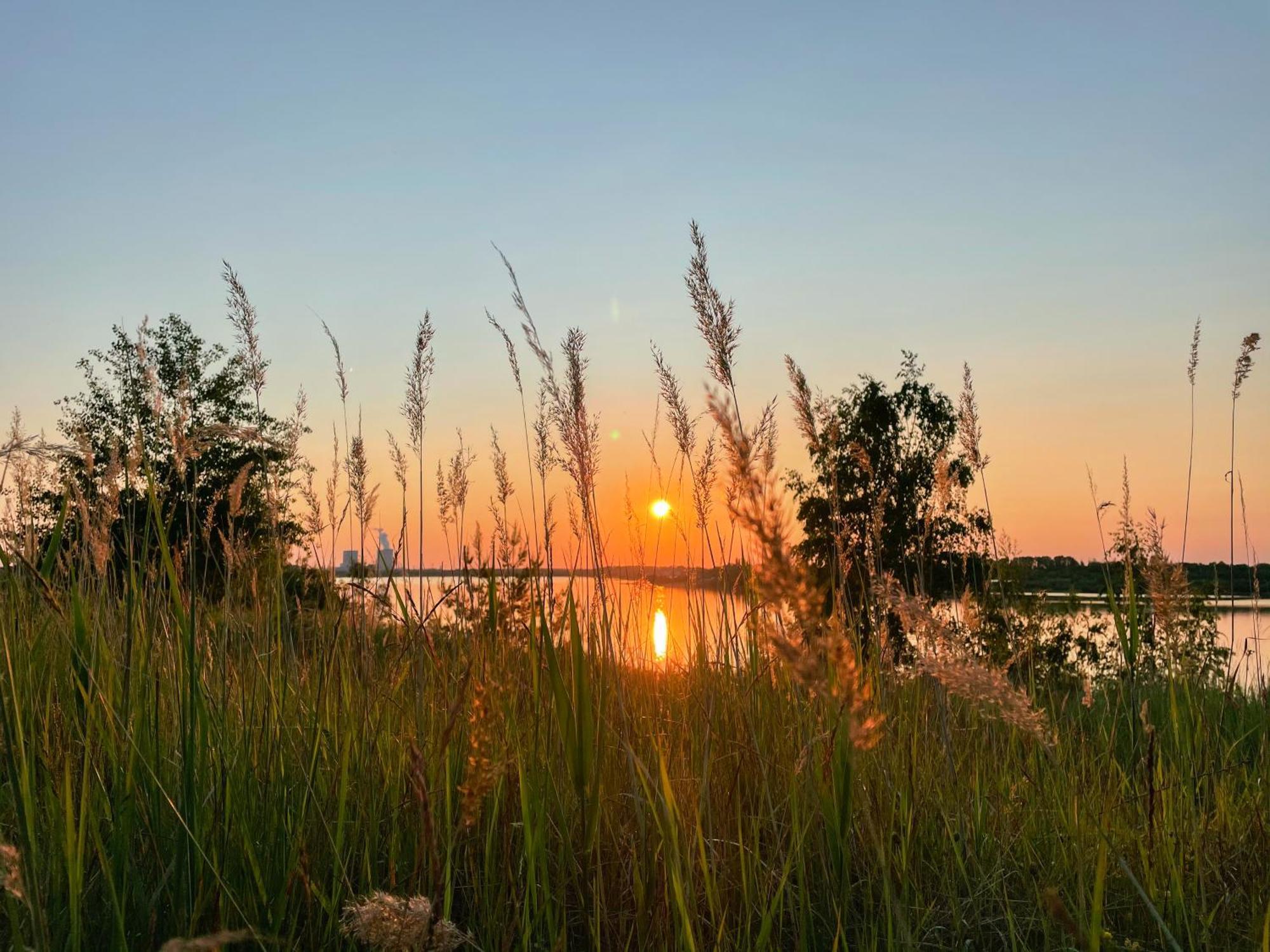 Haus Im Schilf 1 - Ferienwohnungen Am Hainer See Bei Leipzig Neukieritzsch Esterno foto