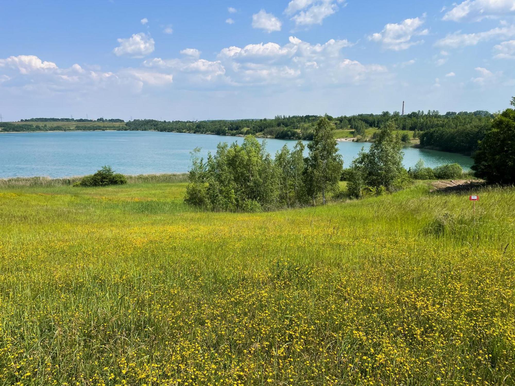 Haus Im Schilf 1 - Ferienwohnungen Am Hainer See Bei Leipzig Neukieritzsch Esterno foto